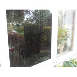 COAL 20 (Zonwering 61%)